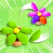 Flower Jam